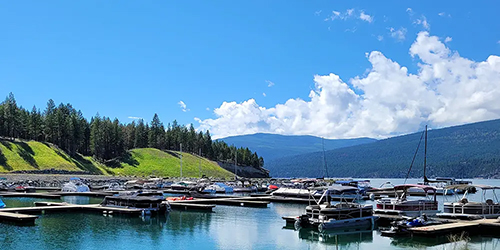 Abayance Bay Marina Docks